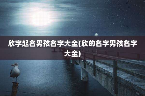 欣字起名男孩名字大全(欣的名字男孩名字大全)