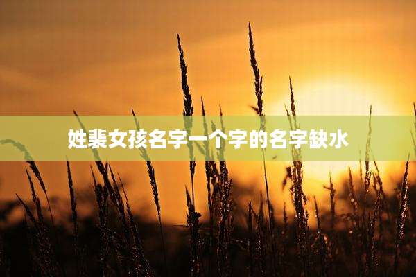 姓裴女孩名字一个字的名字缺水