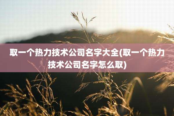 取一个热力技术公司名字大全(取一个热力技术公司名字怎么取)