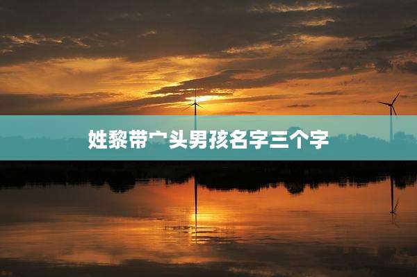 姓黎带宀头男孩名字三个字
