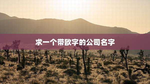 求一个带欧字的公司名字