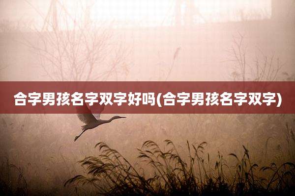 合字男孩名字双字好吗(合字男孩名字双字)