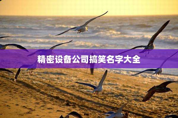 精密设备公司搞笑名字大全