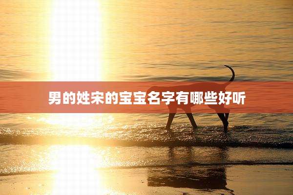 男的姓宋的宝宝名字有哪些好听