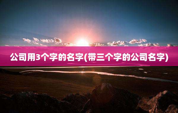 公司用3个字的名字(带三个字的公司名字)