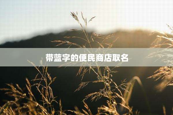 带蓝字的便民商店取名