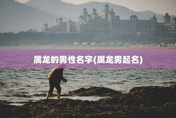 属龙的男性名字(属龙男起名)
