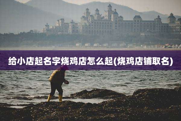 给小店起名字烧鸡店怎么起(烧鸡店铺取名)