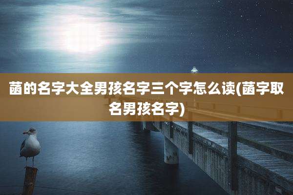 菡的名字大全男孩名字三个字怎么读(菡字取名男孩名字)