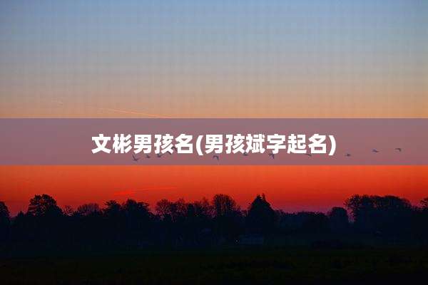 文彬男孩名(男孩斌字起名)