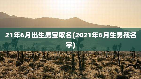 21年6月出生男宝取名(2021年6月生男孩名字)