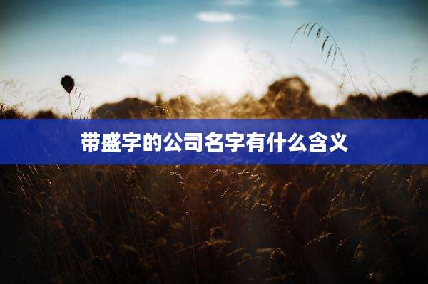 带盛字的公司名字有什么含义