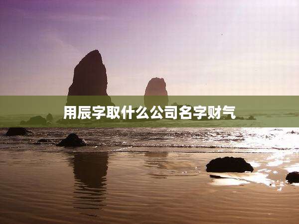 用辰字取什么公司名字财气