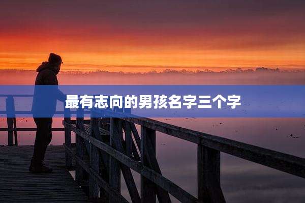 最有志向的男孩名字三个字