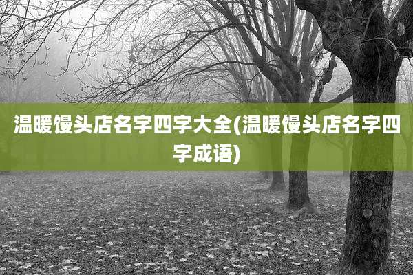 温暖馒头店名字四字大全(温暖馒头店名字四字成语)