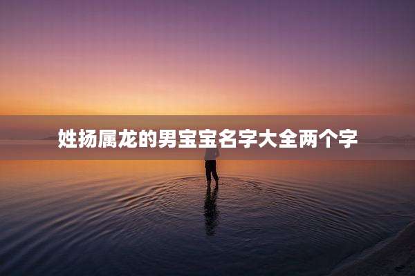 姓扬属龙的男宝宝名字大全两个字