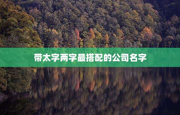 带太字两字最搭配的公司名字