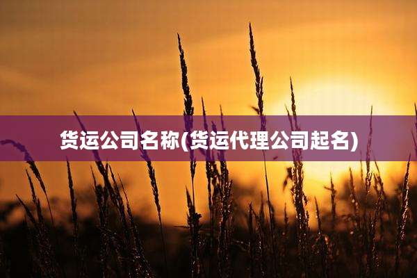 货运公司名称(货运代理公司起名)