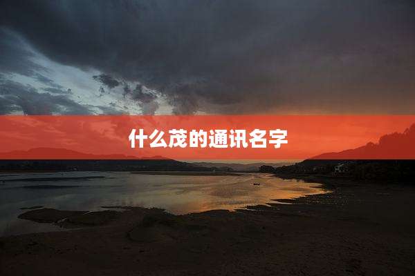 什么茂的通讯名字