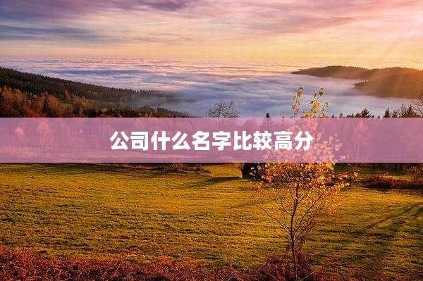 公司什么名字比较高分