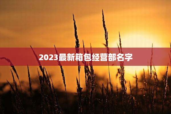 2023最新箱包经营部名字