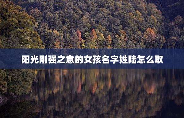 阳光刚强之意的女孩名字姓陆怎么取