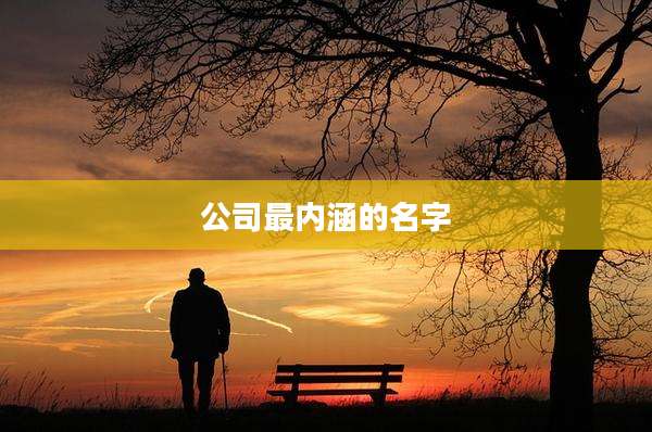 公司最内涵的名字