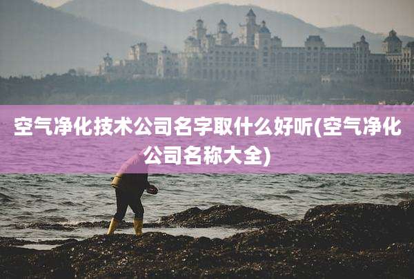 空气净化技术公司名字取什么好听(空气净化公司名称大全)