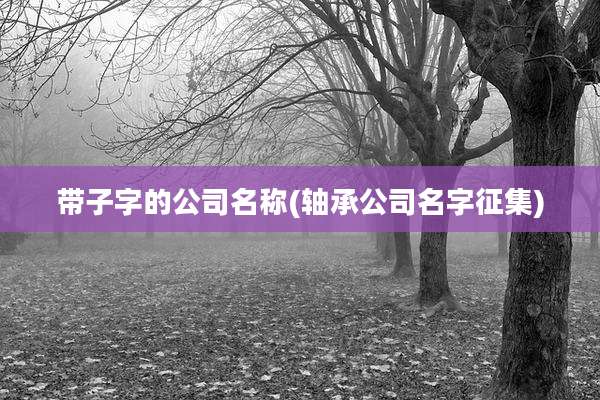 带子字的公司名称(轴承公司名字征集)