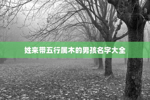 姓来带五行属木的男孩名字大全