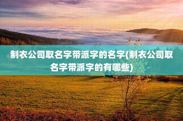 制衣公司取名字带派字的名字(制衣公司取名字带派字的有哪些)