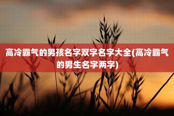 高冷霸气的男孩名字双字名字大全(高冷霸气的男生名字两字)