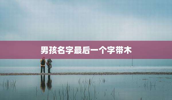 男孩名字最后一个字带木