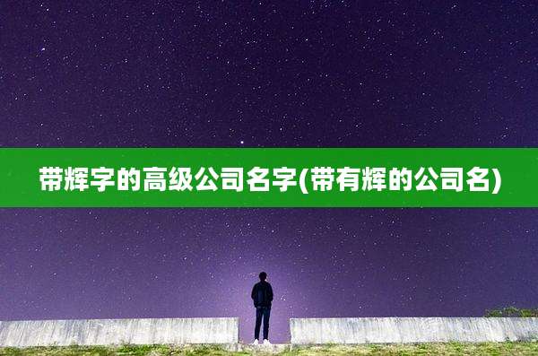 带辉字的高级公司名字(带有辉的公司名)