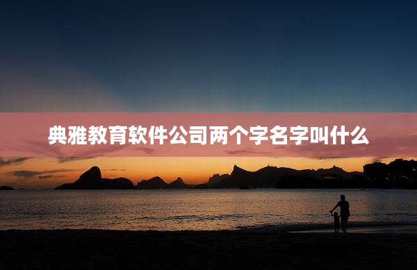 典雅教育软件公司两个字名字叫什么