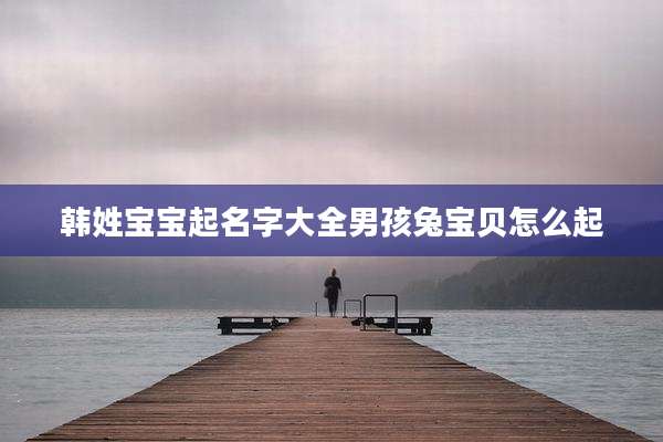 韩姓宝宝起名字大全男孩兔宝贝怎么起