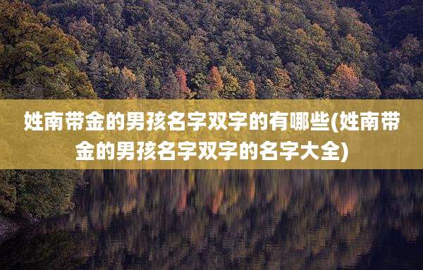 姓南带金的男孩名字双字的有哪些(姓南带金的男孩名字双字的名字大全)