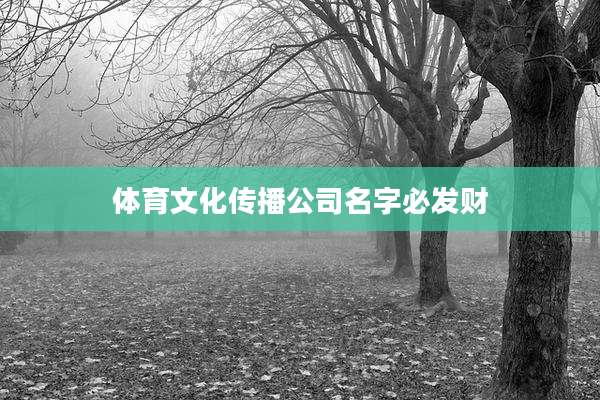 体育文化传播公司名字必发财