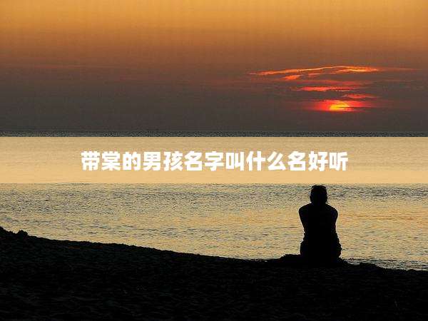 带棠的男孩名字叫什么名好听
