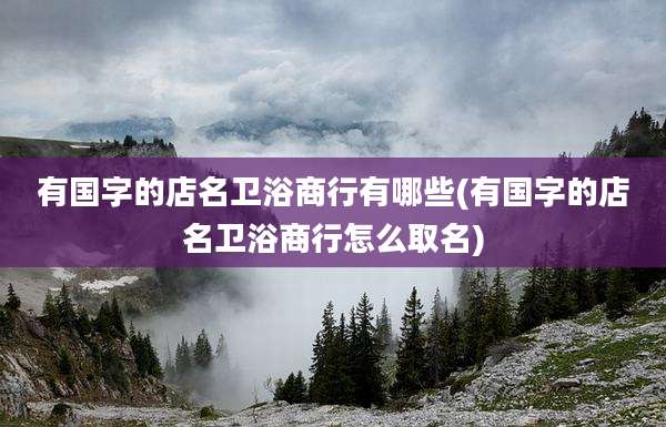 有国字的店名卫浴商行有哪些(有国字的店名卫浴商行怎么取名)
