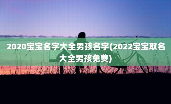 2020宝宝名字大全男孩名字(2022宝宝取名大全男孩免费)
