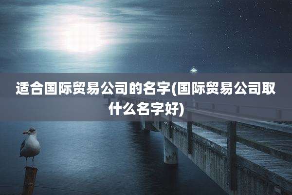 适合国际贸易公司的名字(国际贸易公司取什么名字好)
