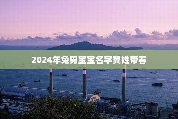 2024年兔男宝宝名字冀姓带春
