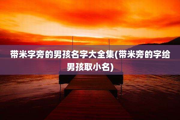 带米字旁的男孩名字大全集(带米旁的字给男孩取小名)
