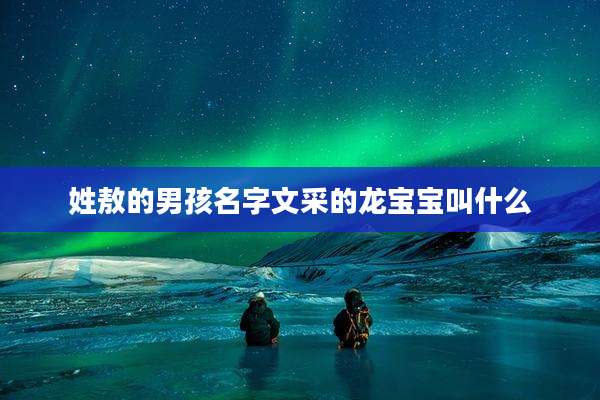 姓敖的男孩名字文采的龙宝宝叫什么