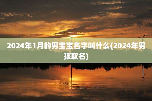 2024年1月的男宝宝名字叫什么(2024年男孩取名)
