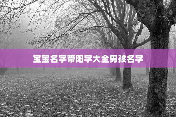 宝宝名字带阳字大全男孩名字
