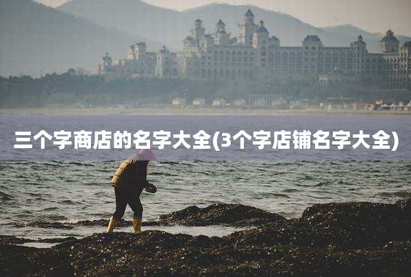 三个字商店的名字大全(3个字店铺名字大全)