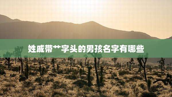 姓戚带艹字头的男孩名字有哪些