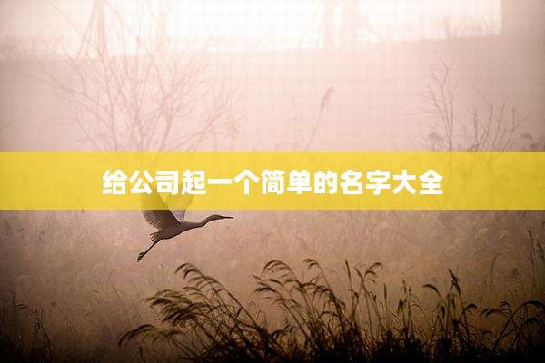 给公司起一个简单的名字大全